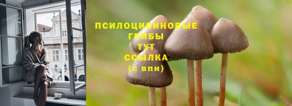 MESCALINE Алзамай