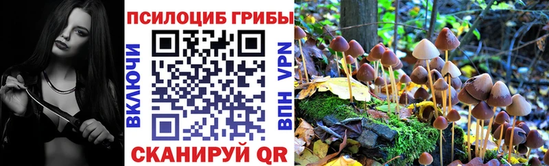 Галлюциногенные грибы Psilocybe  где можно купить наркотик  Уфа 